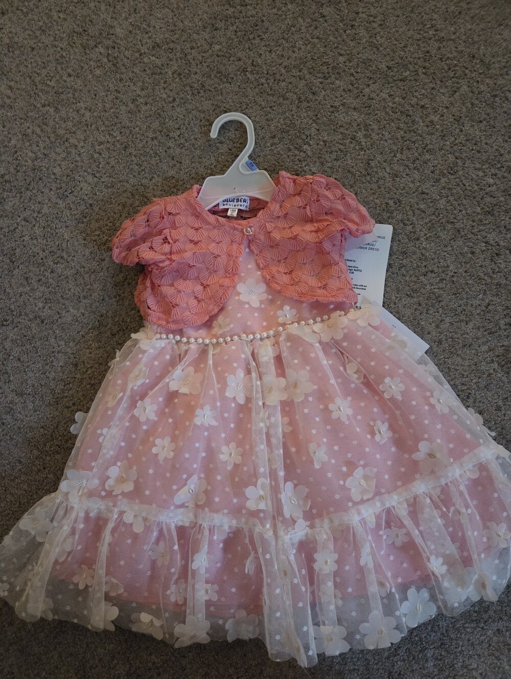 Blueberi Boulevard Pink Floral Lace Party Dress with Pearl Waist